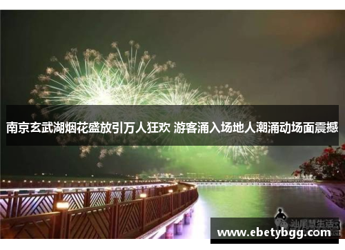 南京玄武湖烟花盛放引万人狂欢 游客涌入场地人潮涌动场面震撼